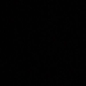 Meet your Posher, Nicholas